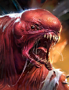 Vildraks